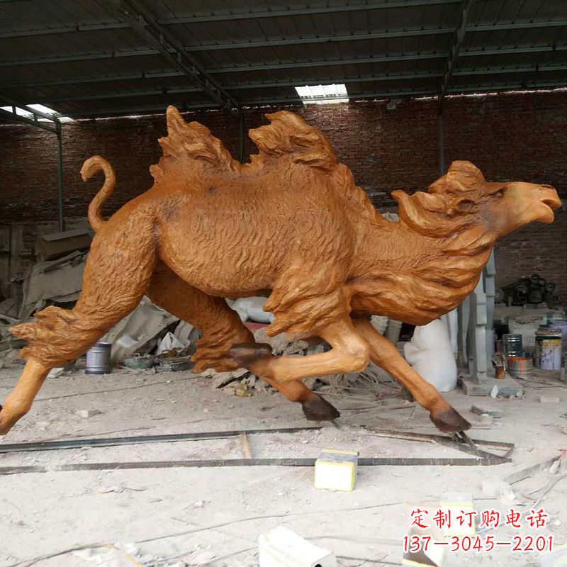 张家口活力四射的骆驼