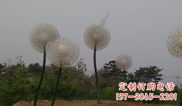 张家口蒲公英的绚丽多彩