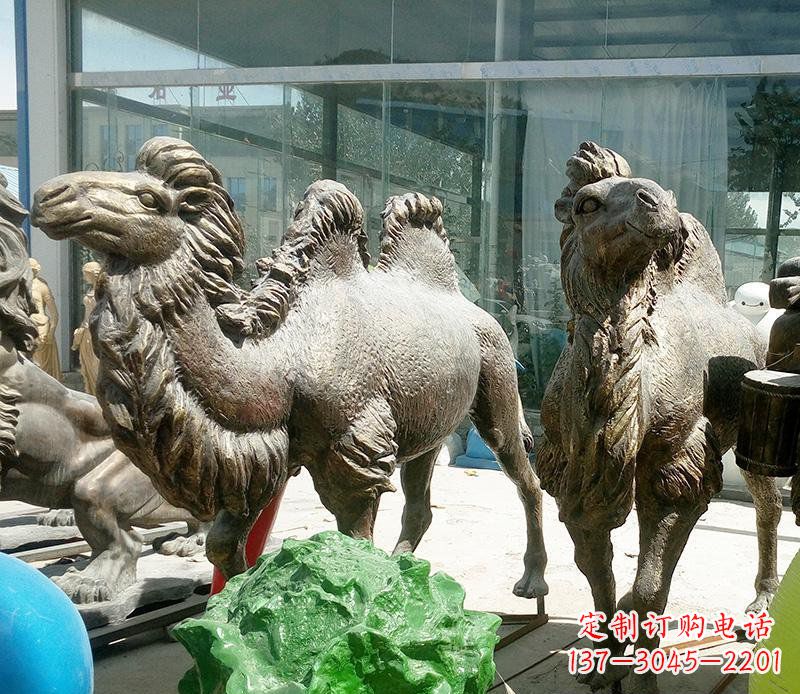 张家口公园骆驼动物铜雕 (2)