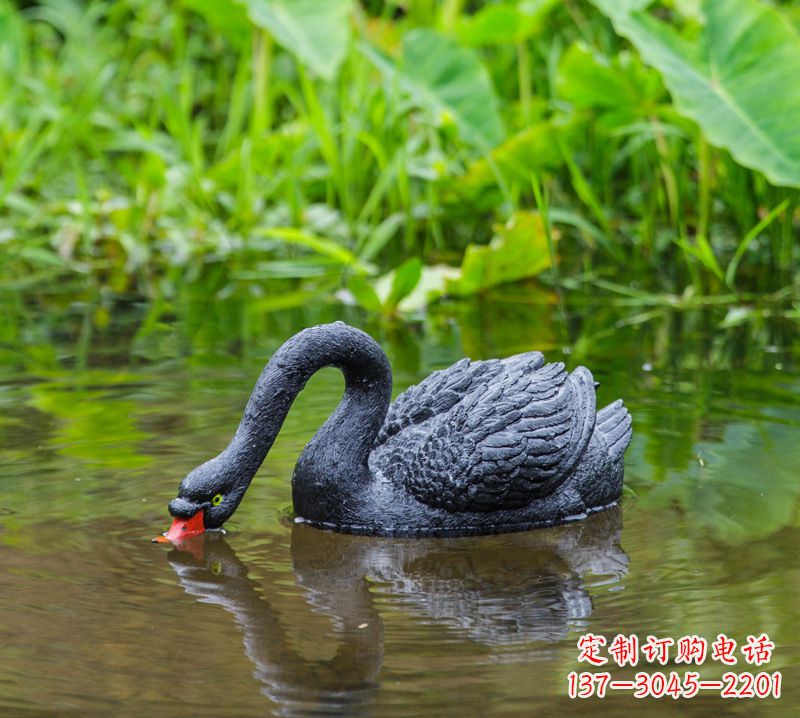 张家口黑天鹅喝水款-池塘水塘装饰动物雕塑摆件