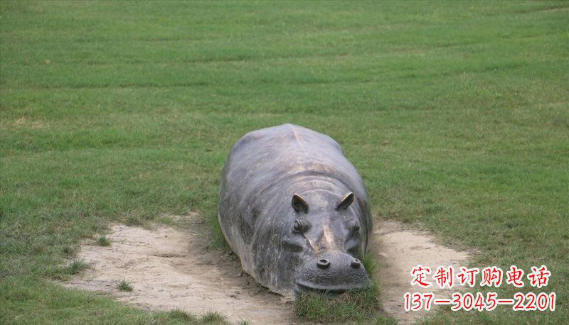张家口铜雕趴着的河马