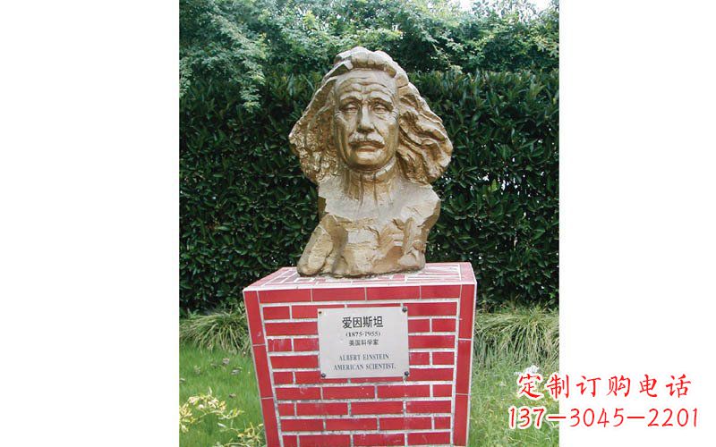 张家口西方名人爱因斯坦头像铜雕